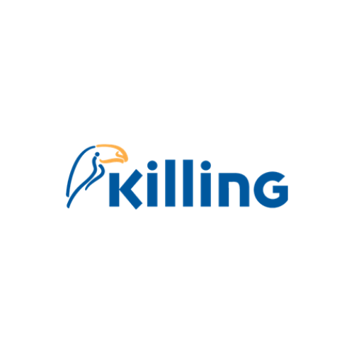 Logo - 17 TINTAS KILLING