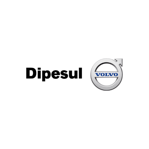 Logo - 15 DIPESUL VOLVO